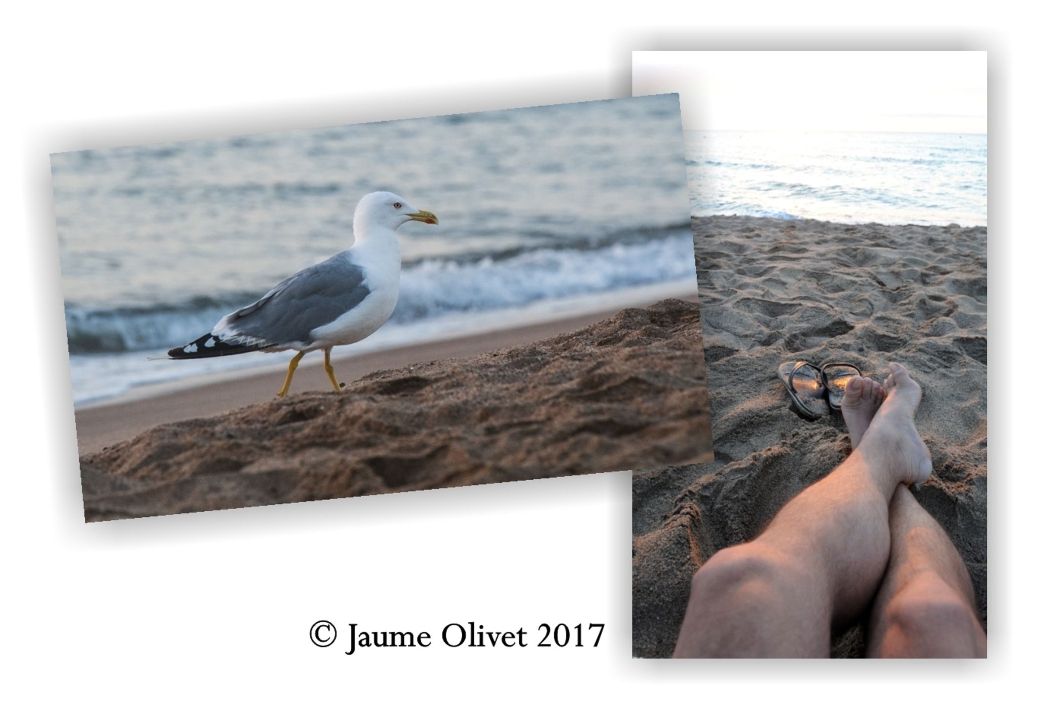  Jaume Olivet 2017