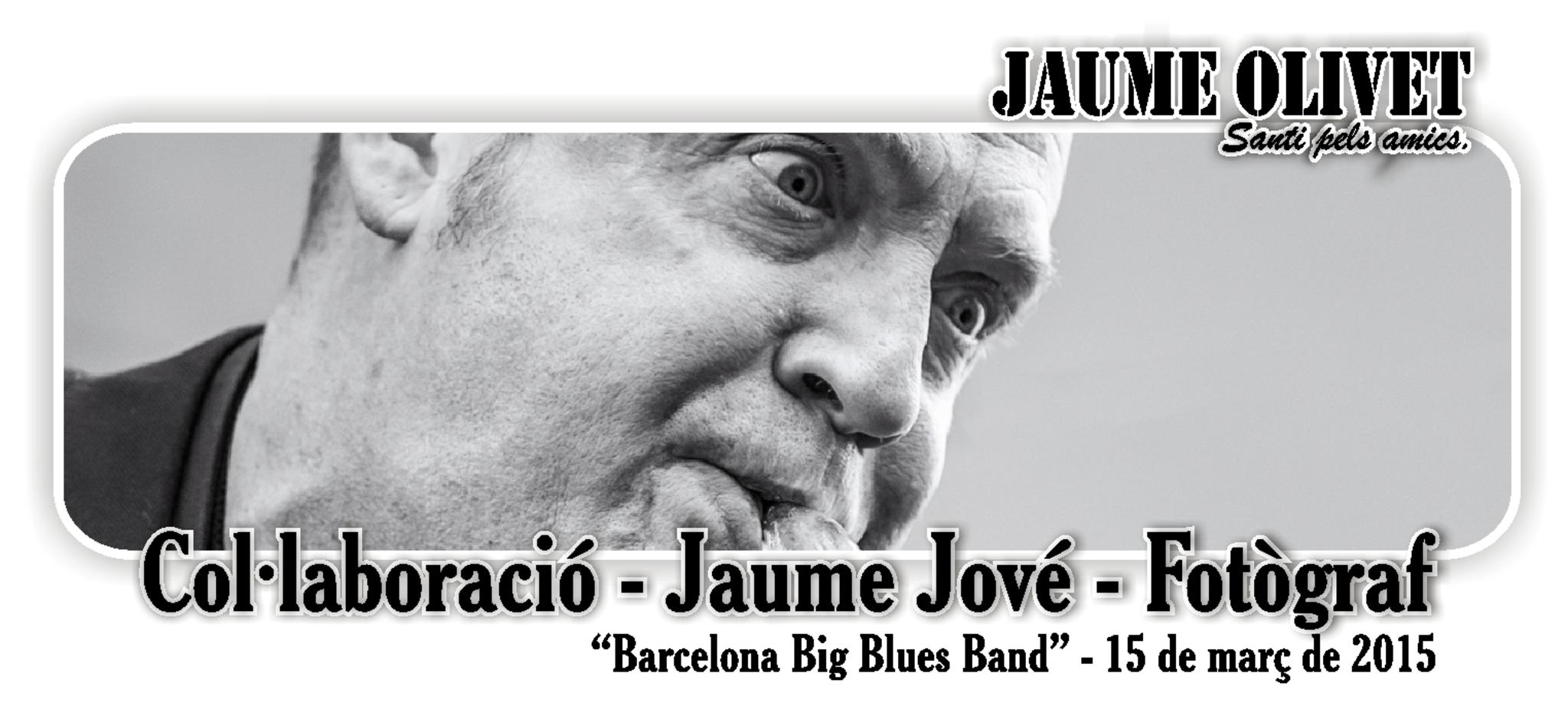 © Jaume Jové 2010
