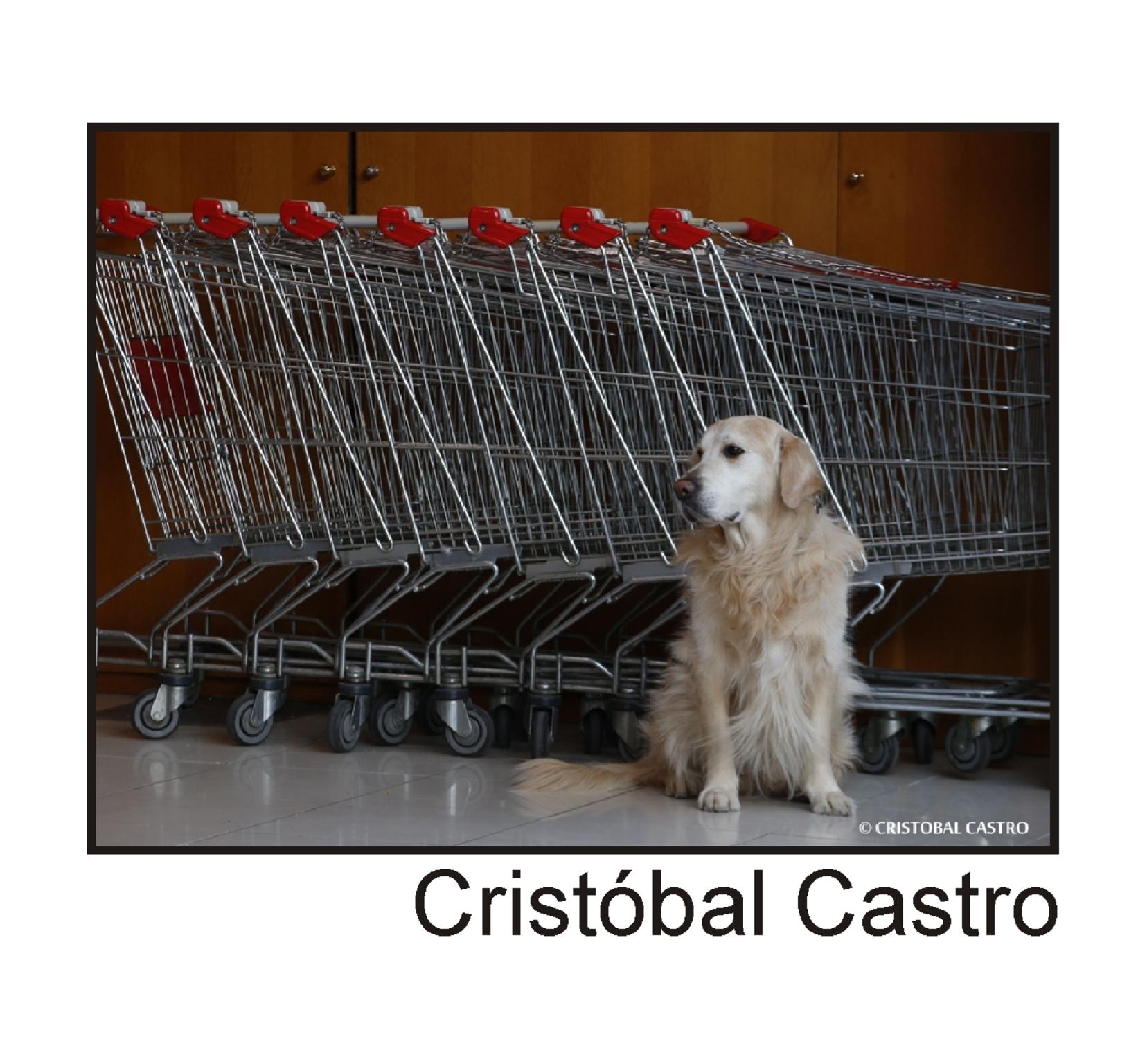 Cristbal Castro