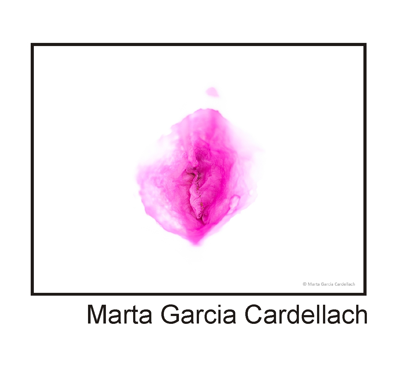 Marta Garcia Cardellach