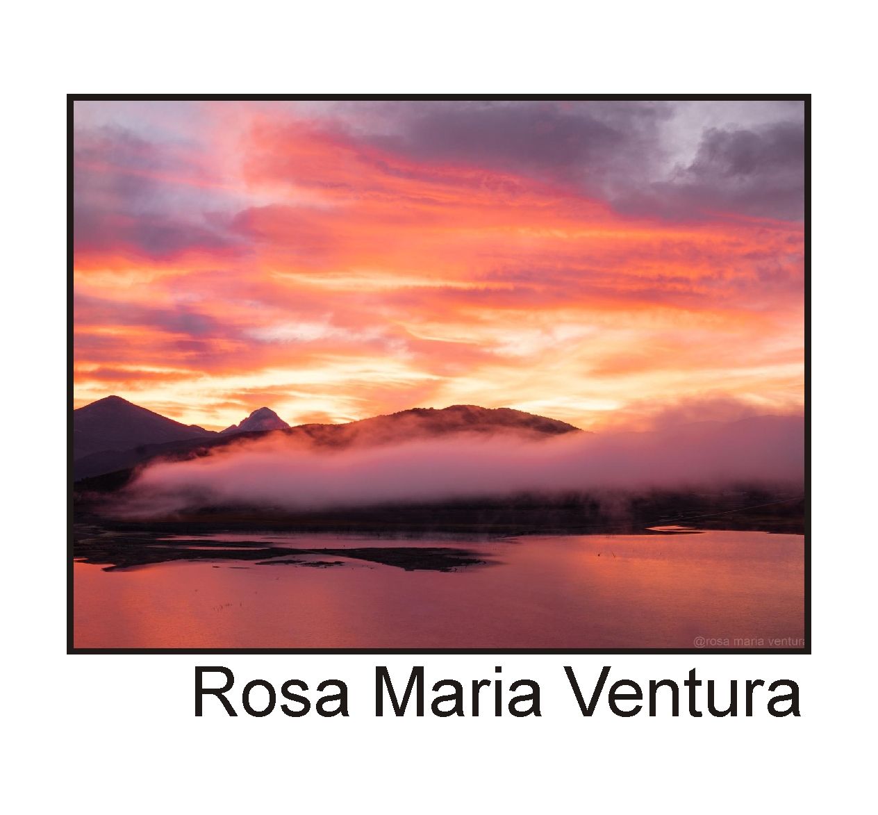  Rosa M. Ventura