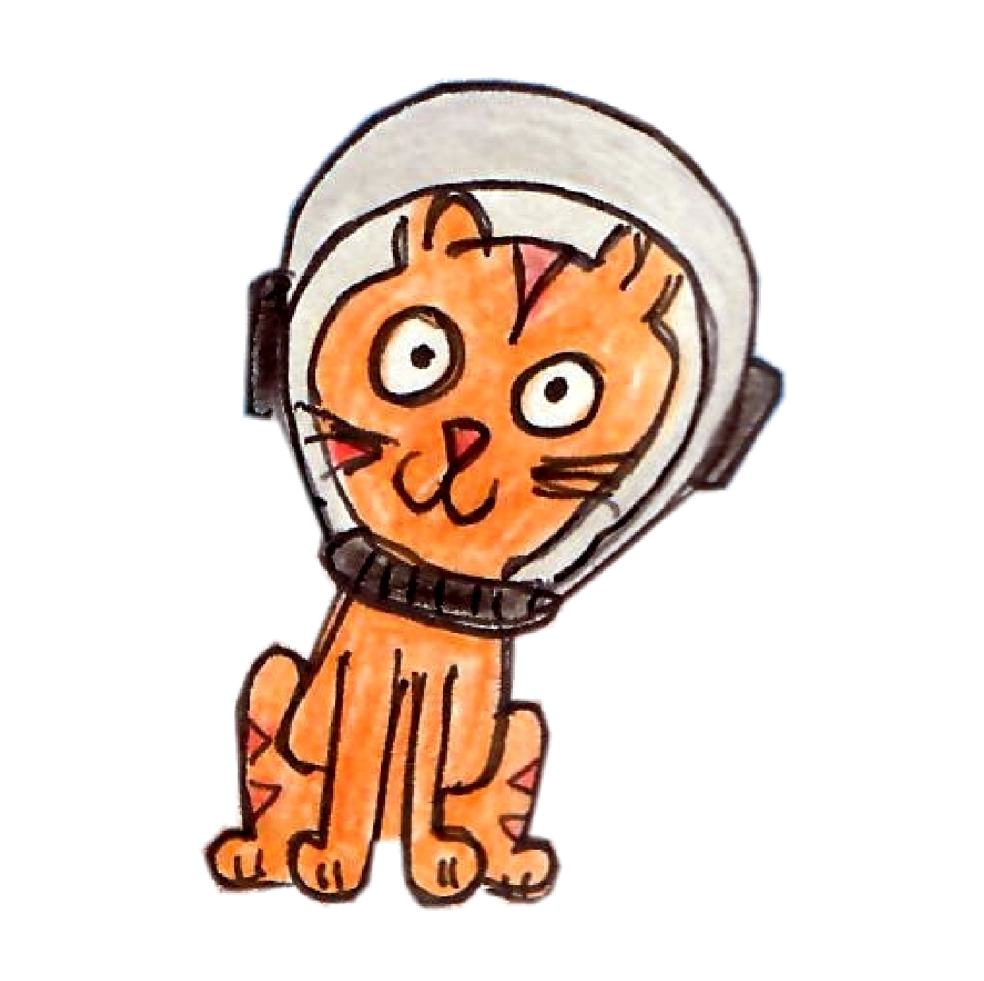 � Jaume Olivet 2025