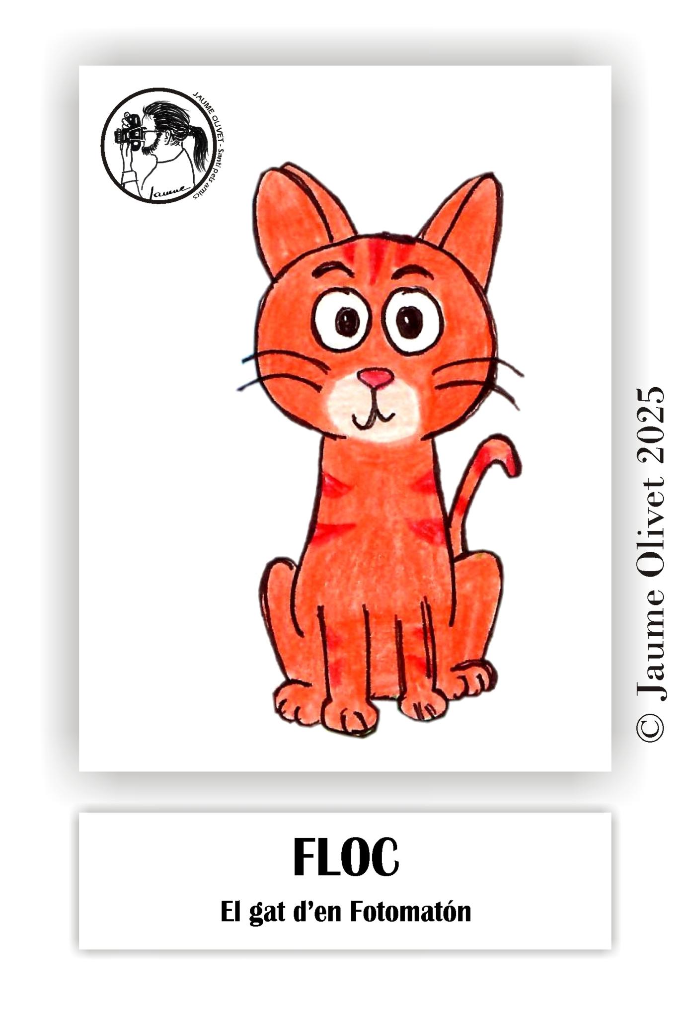 � Jaume Olivet 2025
