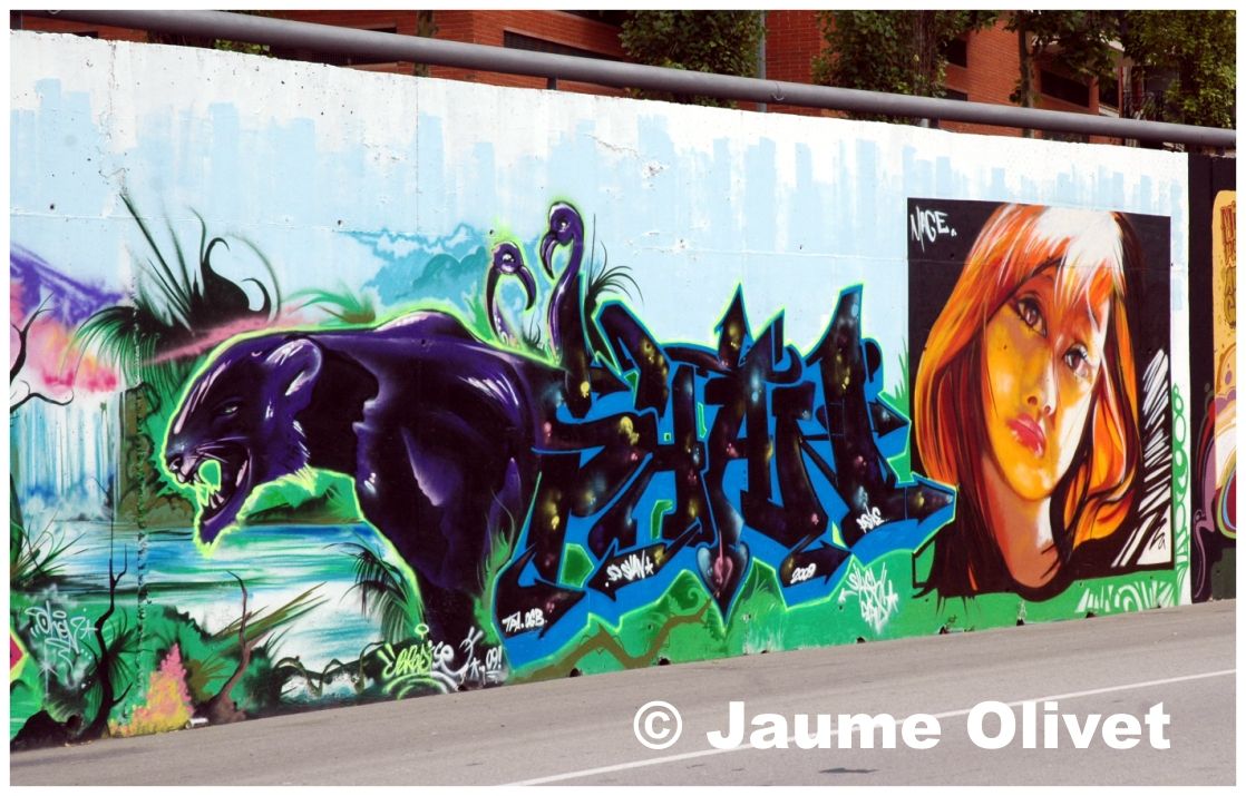 � Jaume Olivet 2009