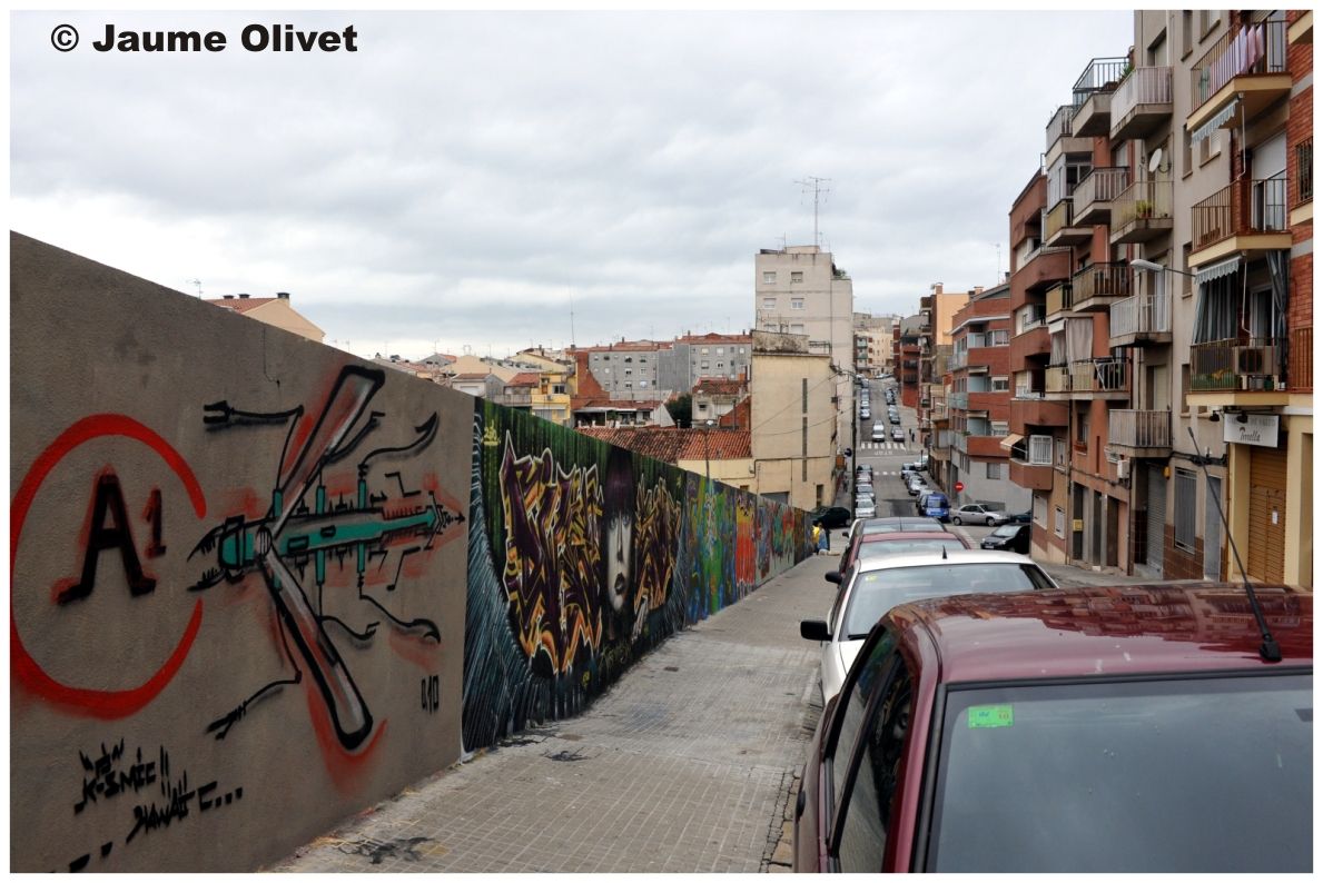 � Jaume Olivet