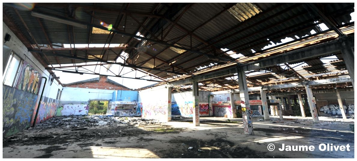 � Jaume OlivetLOGO