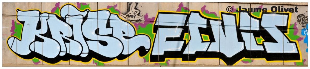 G1173 � Jaume Olivet