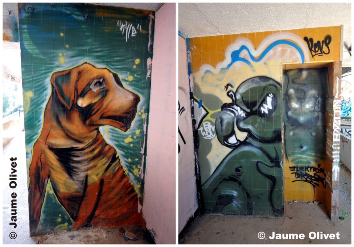 G1243 � Jaume Olivet