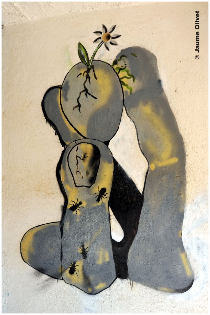 G1253 � Jaume Olivet