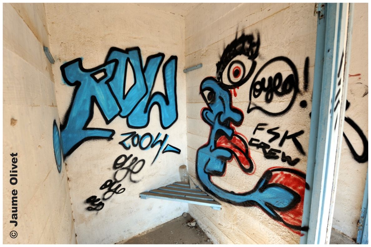 G1254 � Jaume Olivet