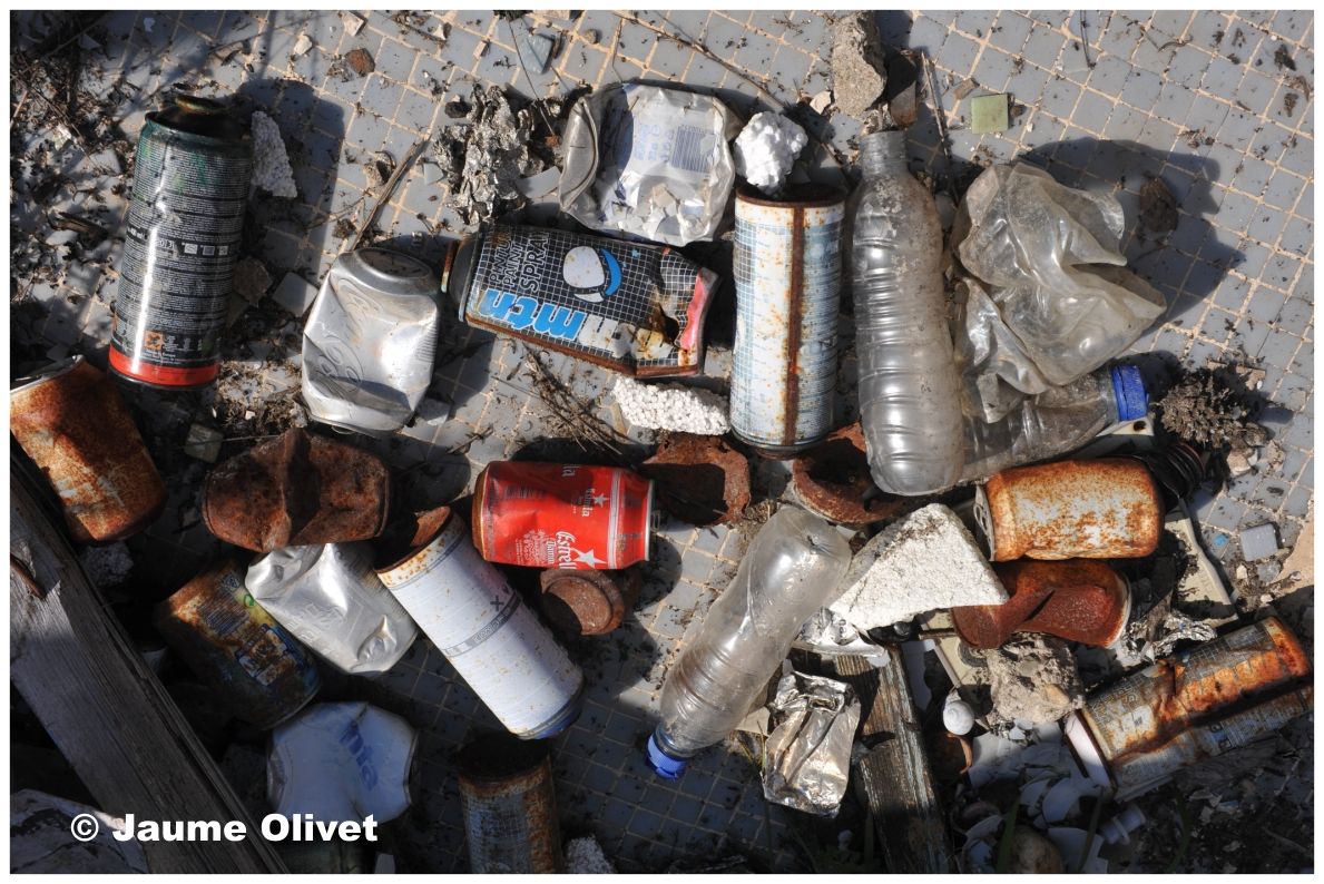 G1259 � Jaume Olivet