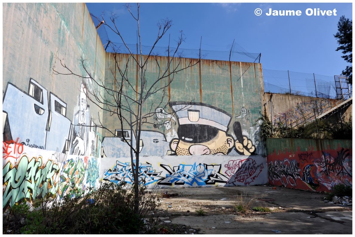 G1262 � Jaume Olivet