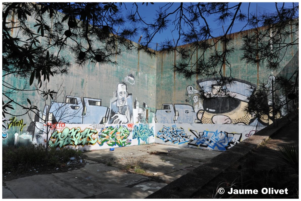 G1264 � Jaume Olivet