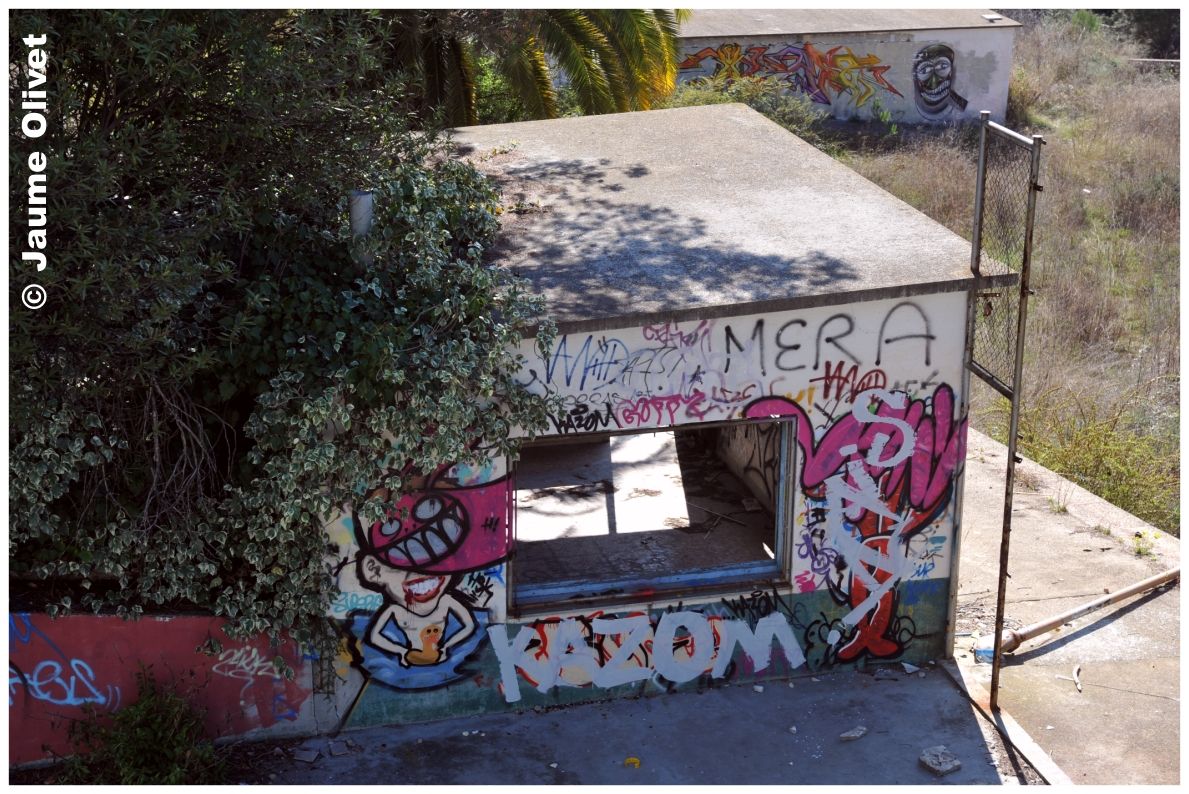 G1265 � Jaume Olivet