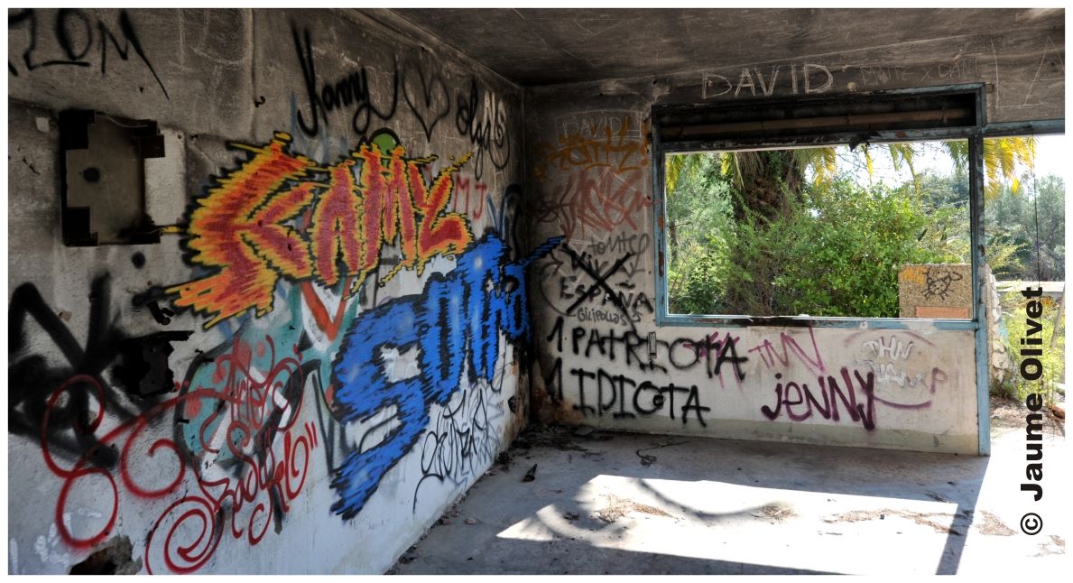 G1267 � Jaume Olivet