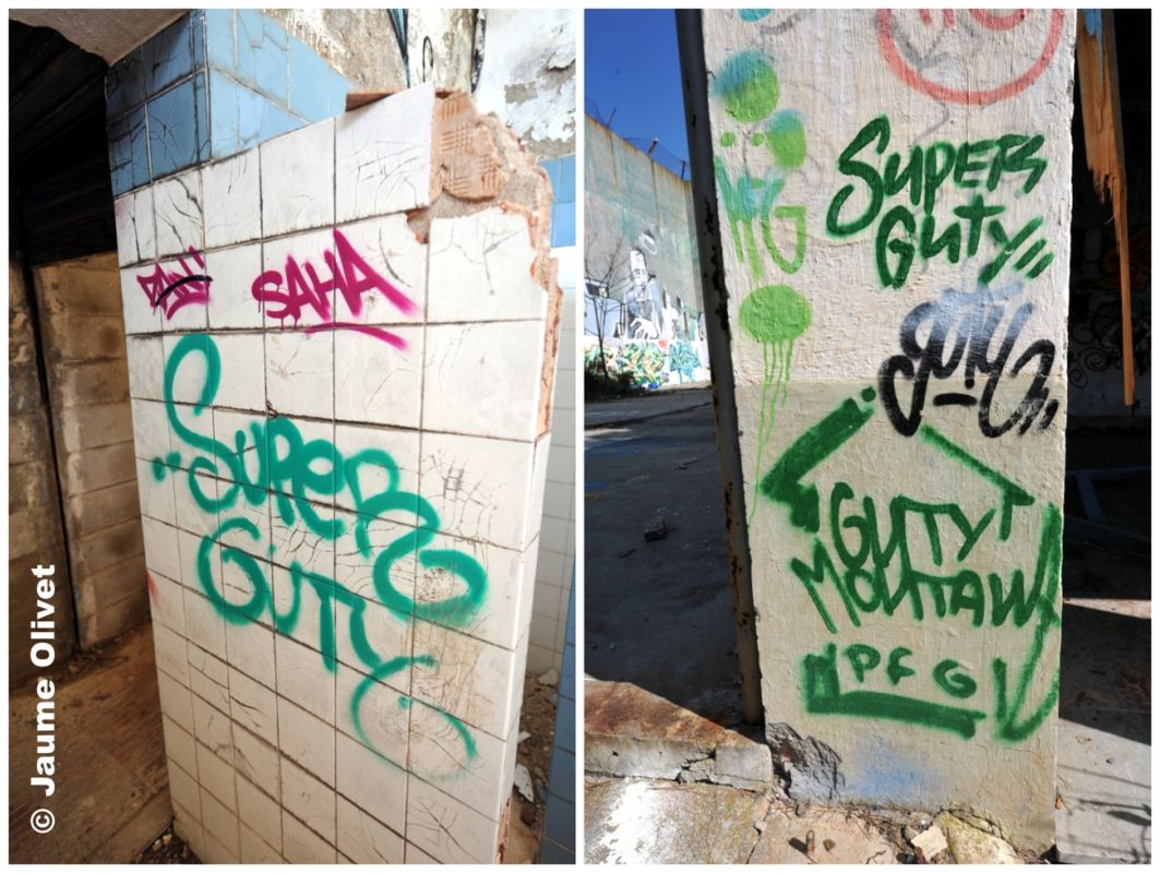 G1282 � Jaume Olivet