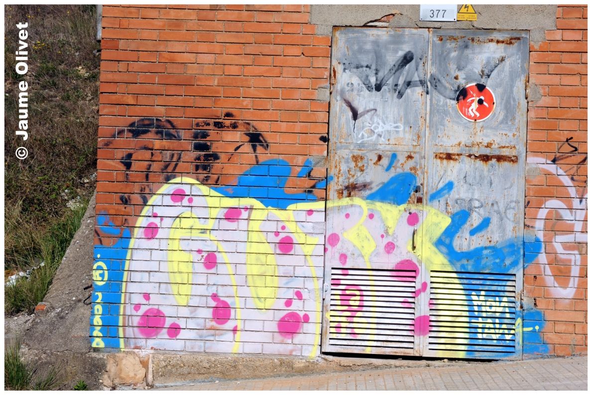 G1284 � Jaume Olivet