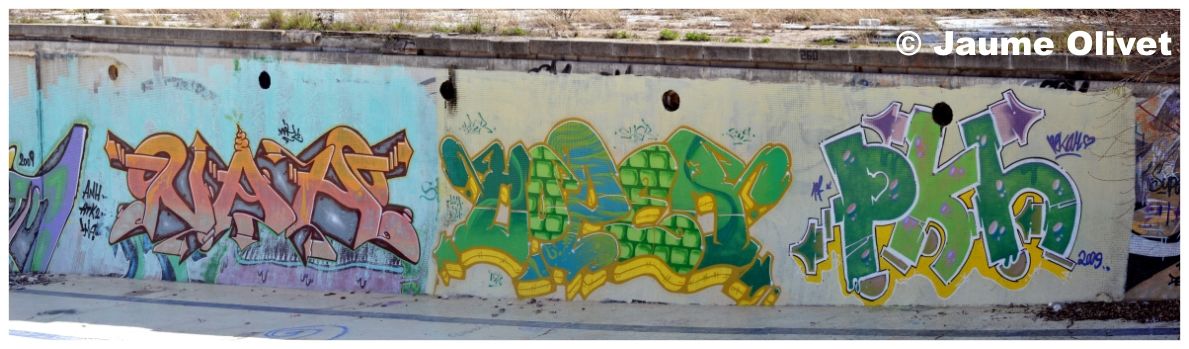 G1290 � Jaume Olivet