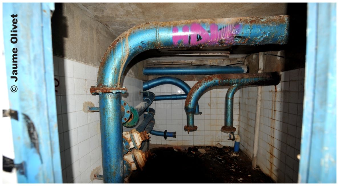 G1302 � Jaume Olivet