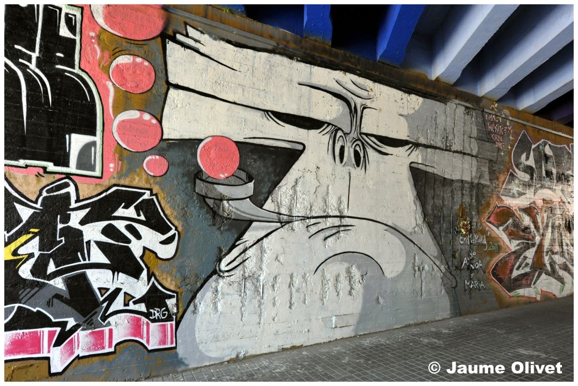 G1332 � Jaume Olivet