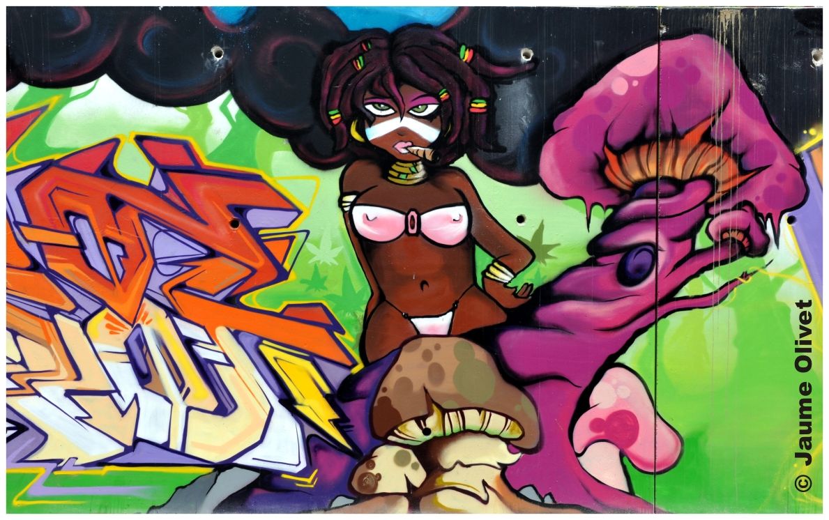 G1354 � Jaume Olivet