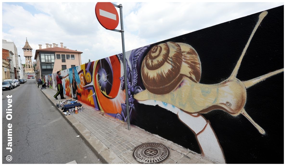 G1419 � Jaume Olivet