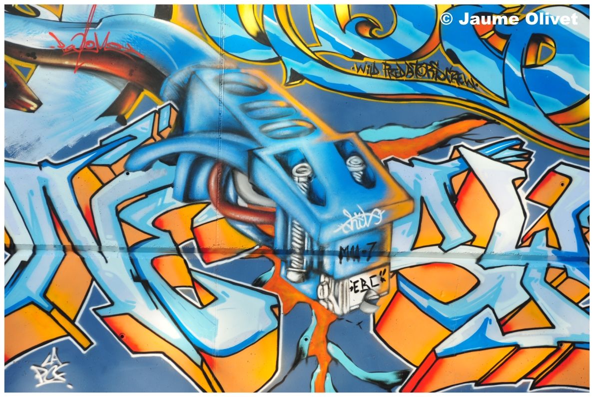 G1556 � Jaume Olivet