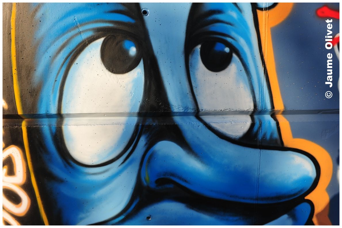 G1563 � Jaume Olivet