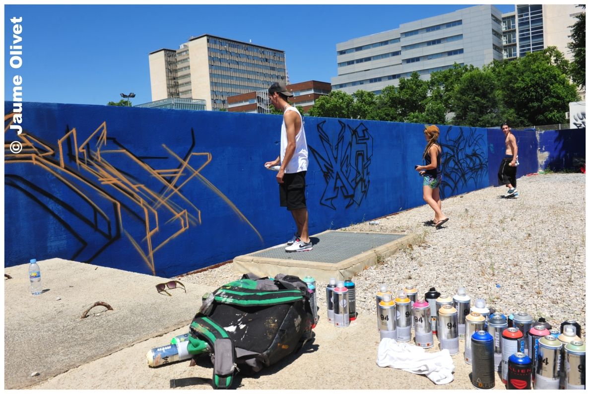 G1632 � Jaume Olivet