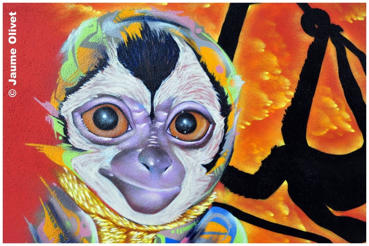 G1695 � Jaume Olivet