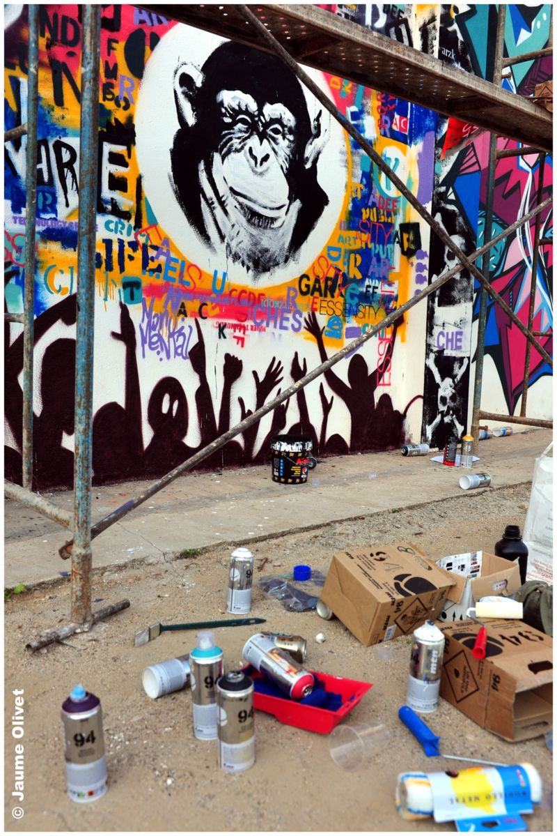 G1718 � Jaume Olivet