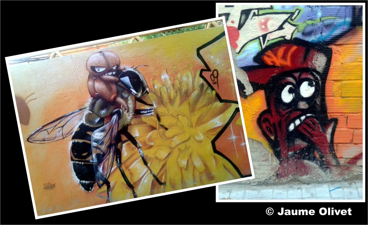 G1755 � Jaume Olivet