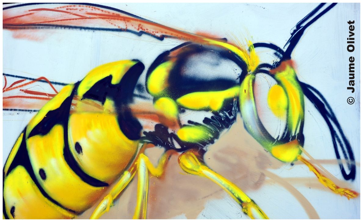 G1778 � Jaume Olivet