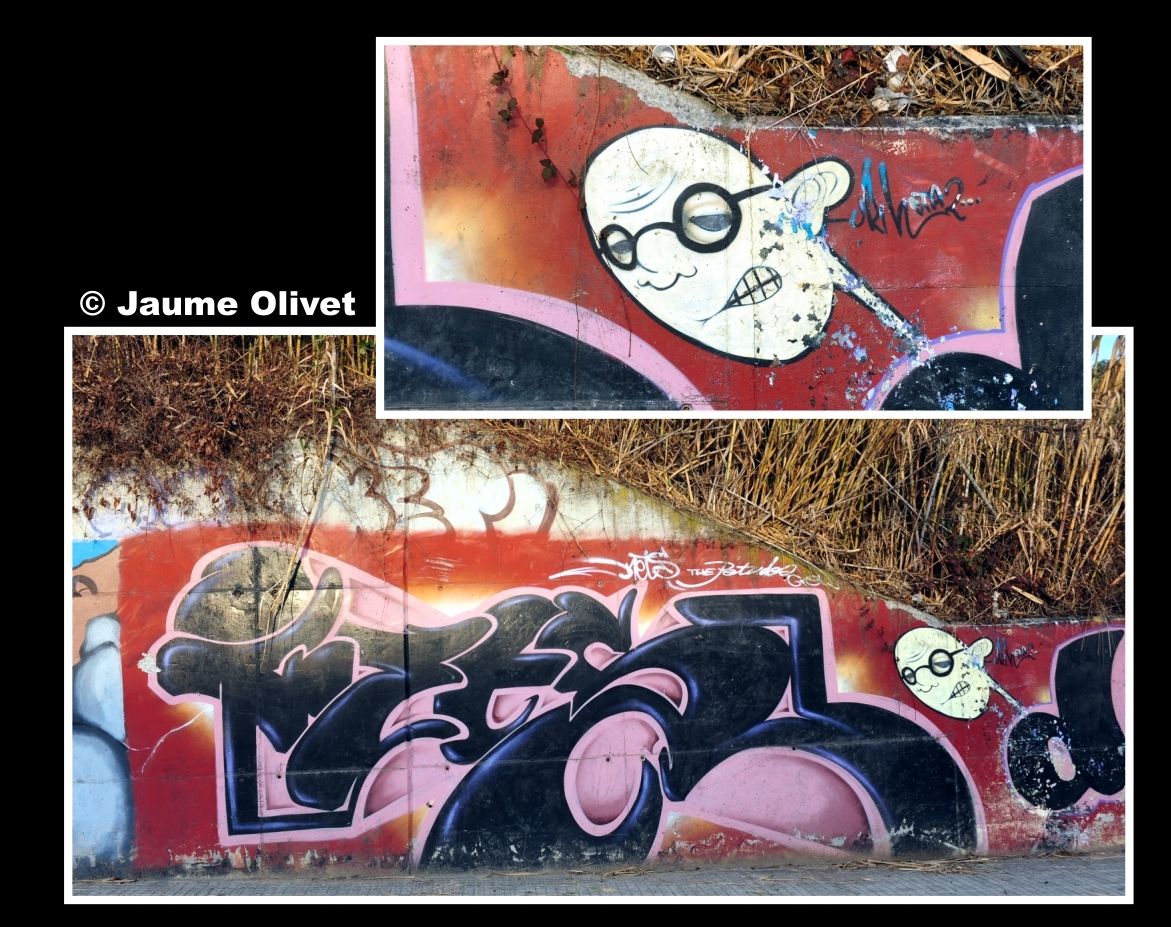 G2010 � Jaume Olivet