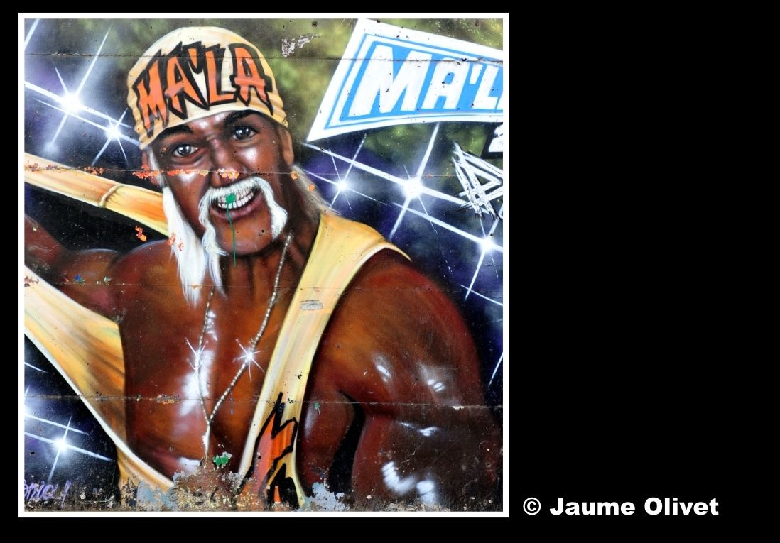 G2015 � Jaume Olivet