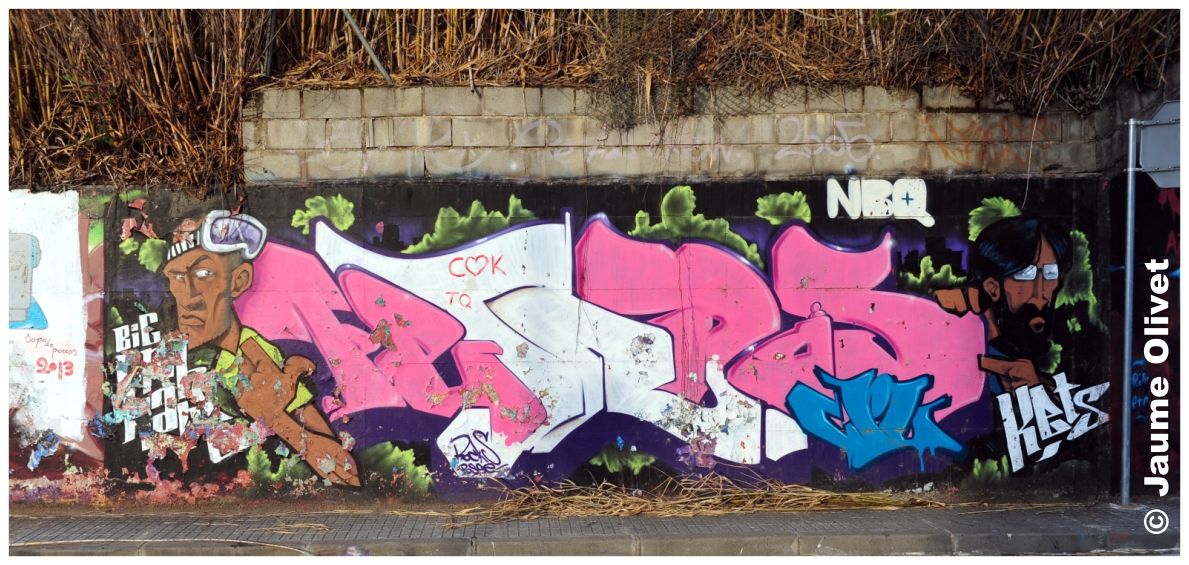 G2025 � Jaume Olivet