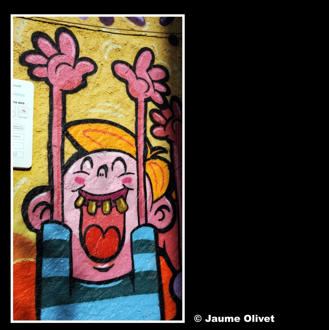 G2117 � Jaume Olivet