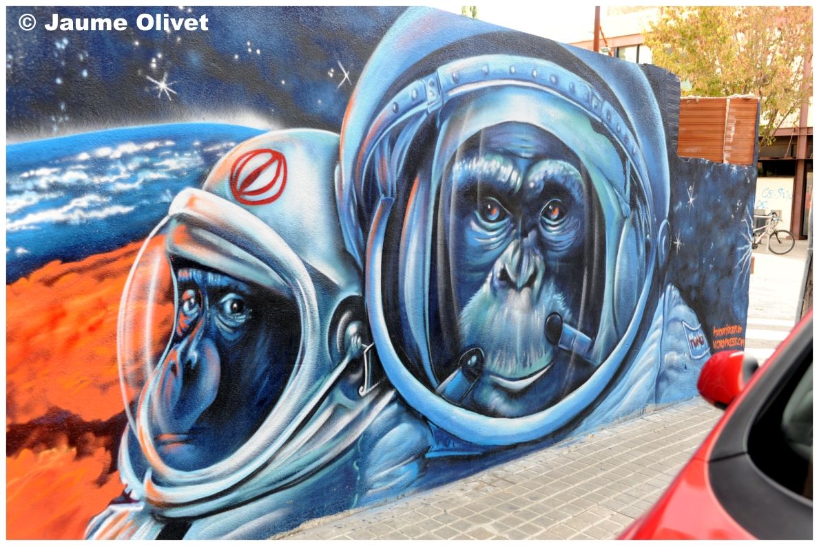 G2134 � Jaume Olivet