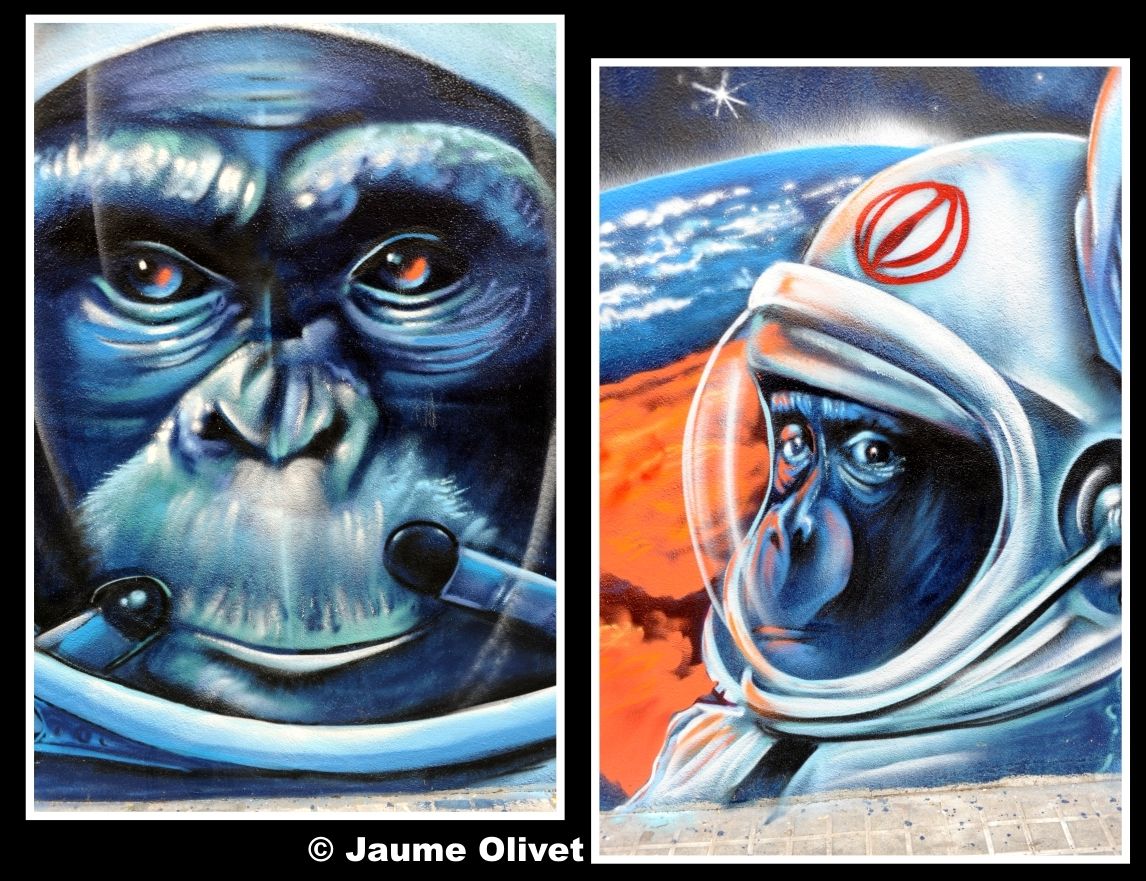 G2135 � Jaume Olivet