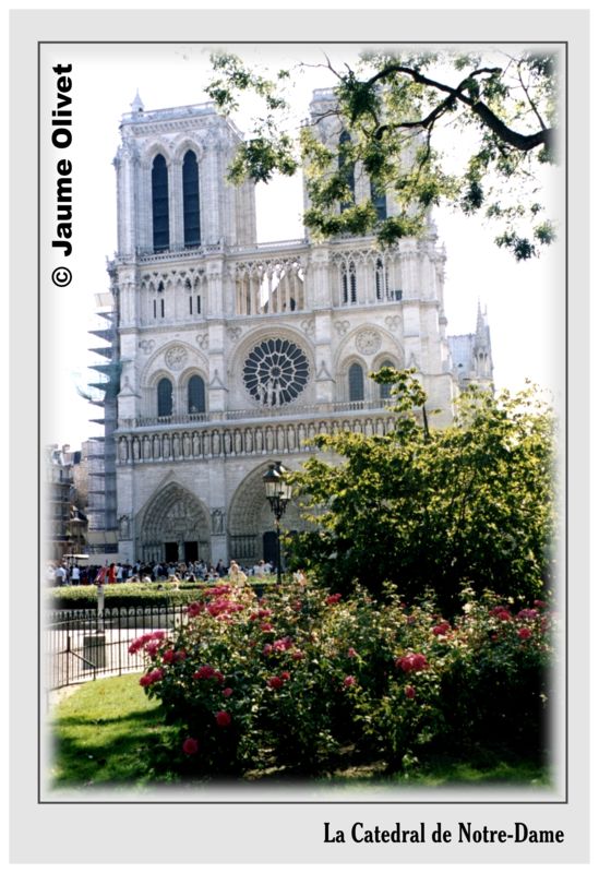 � Jaume Olivet 2001