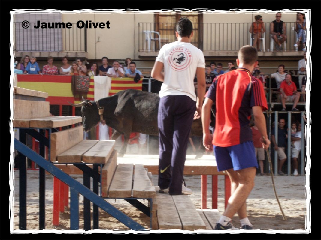 � Jaume Olivet 2013