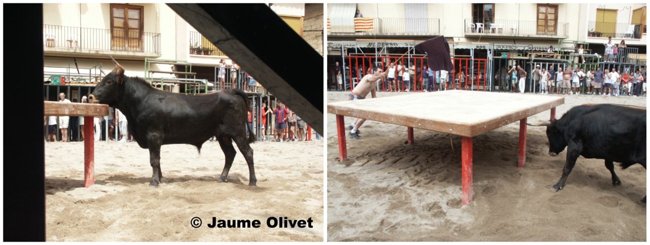 � Jaume Olivet 2013