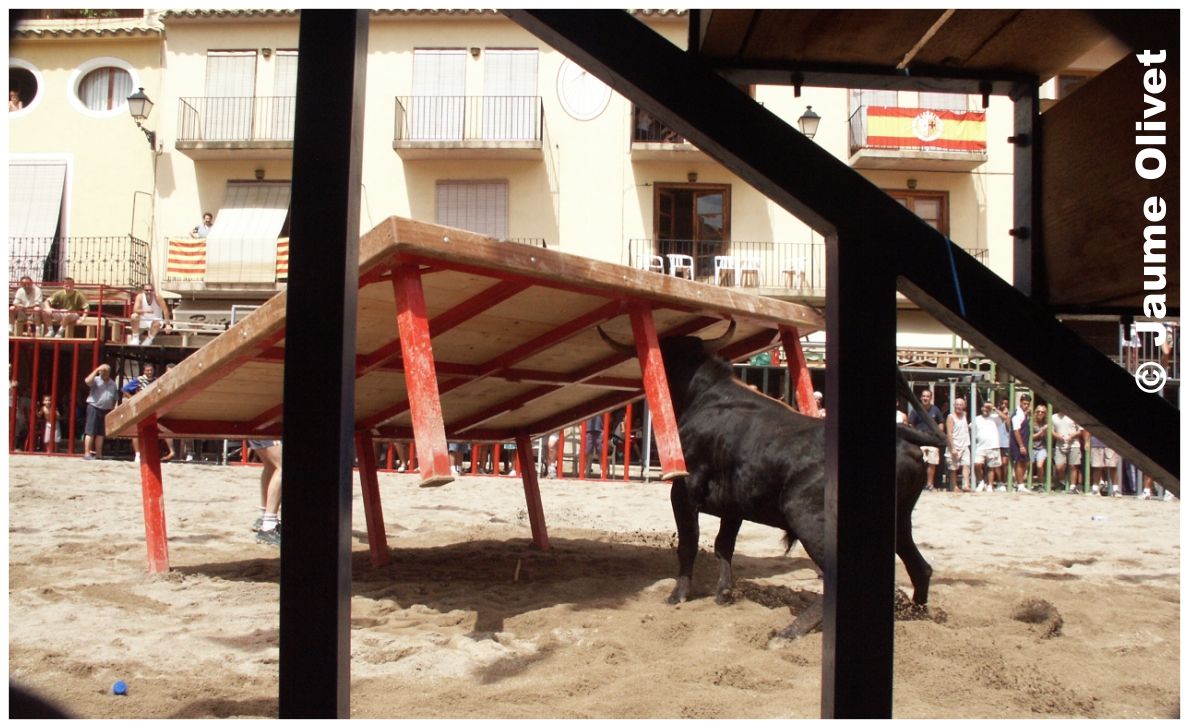 � Jaume Olivet 2013