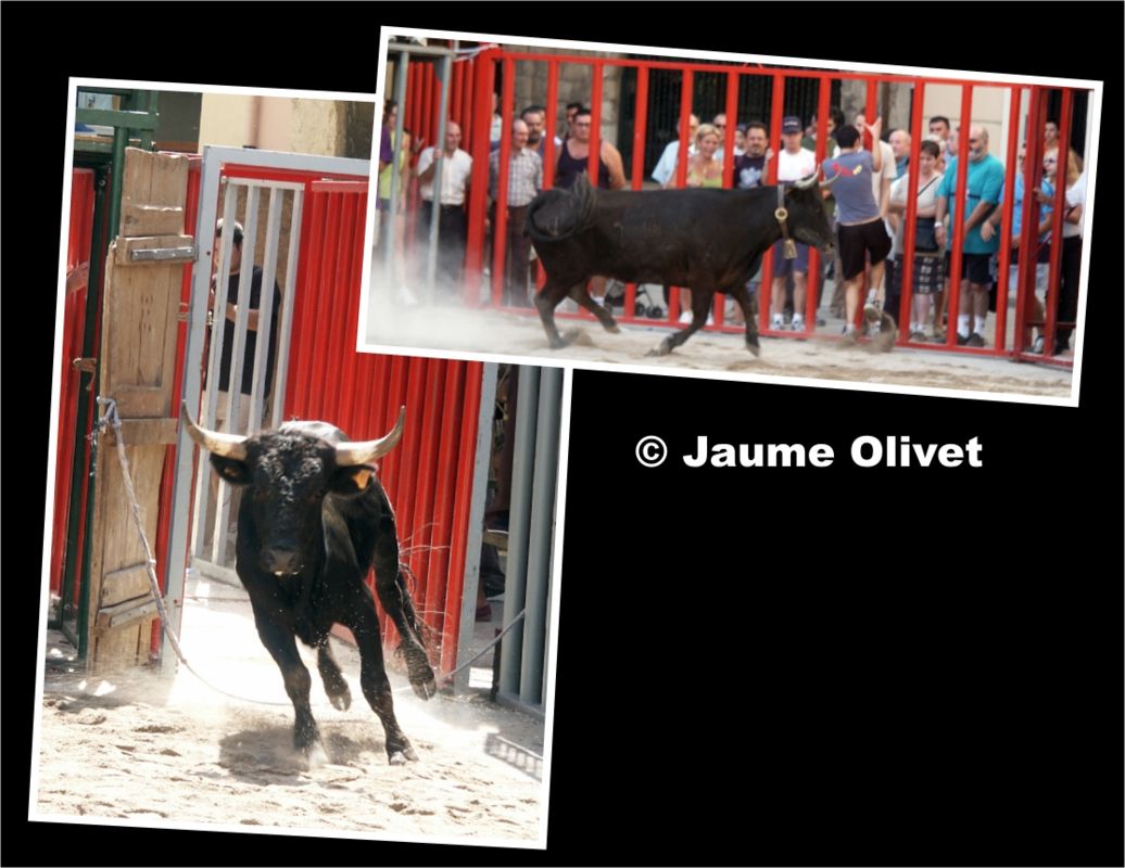 � Jaume Olivet 2013