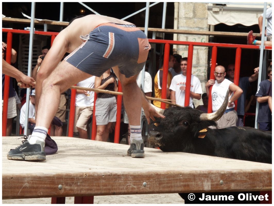 � Jaume Olivet 2013