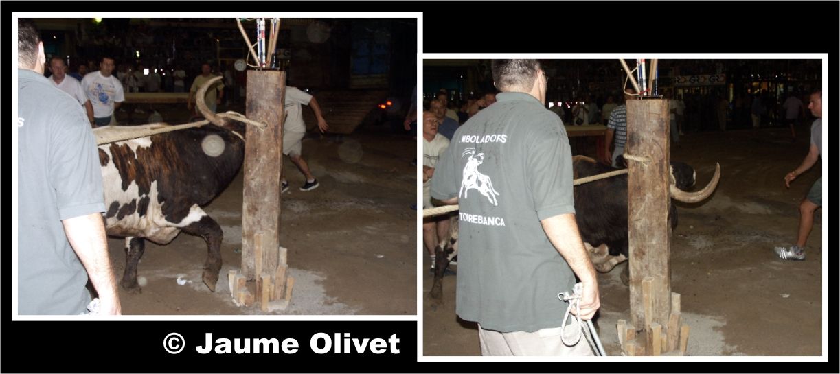 � Jaume Olivet 2003