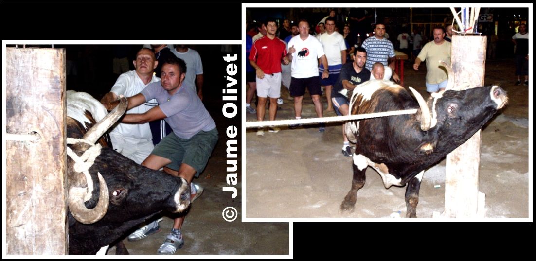 � Jaume Olivet 2003