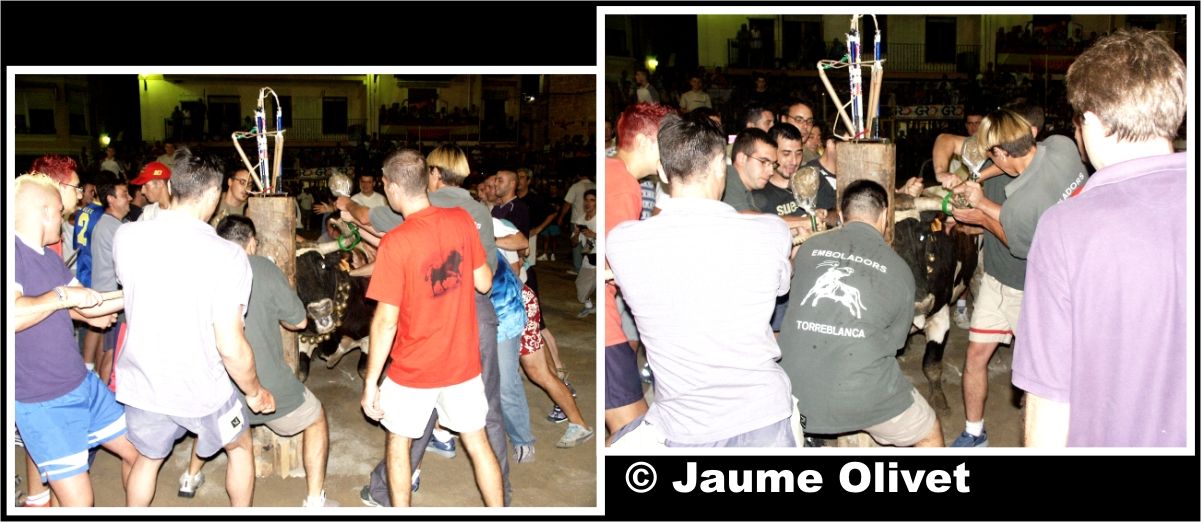 � Jaume Olivet 2003