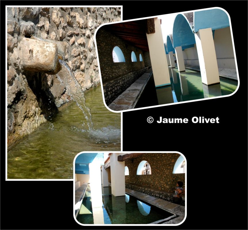 � Jaume Olivet 2004