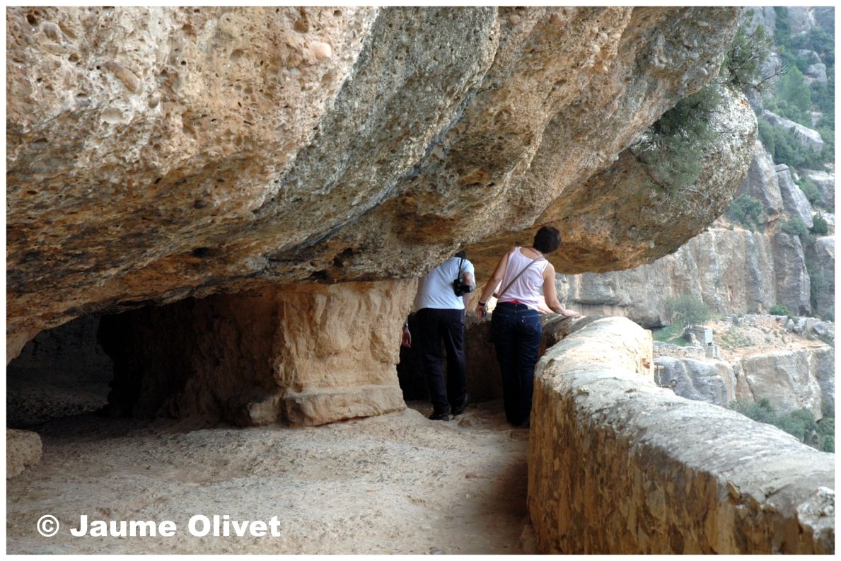 � Jaume Olivet 2004